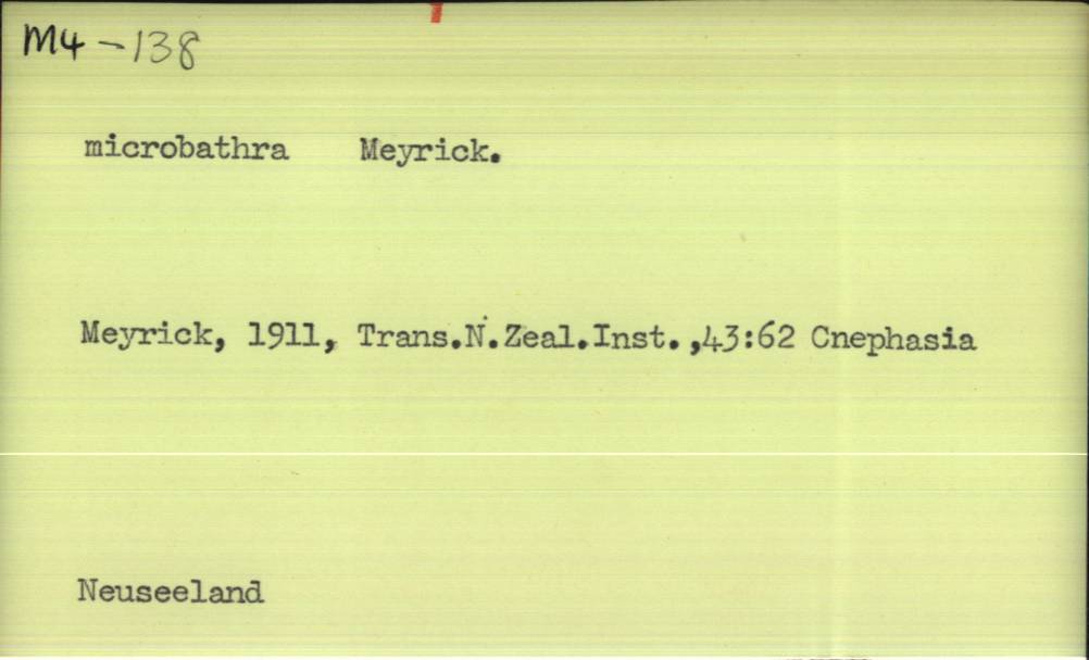 front of card
